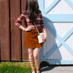 The Devon Horse Show