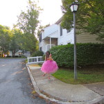 Taylor Swift Wonderland