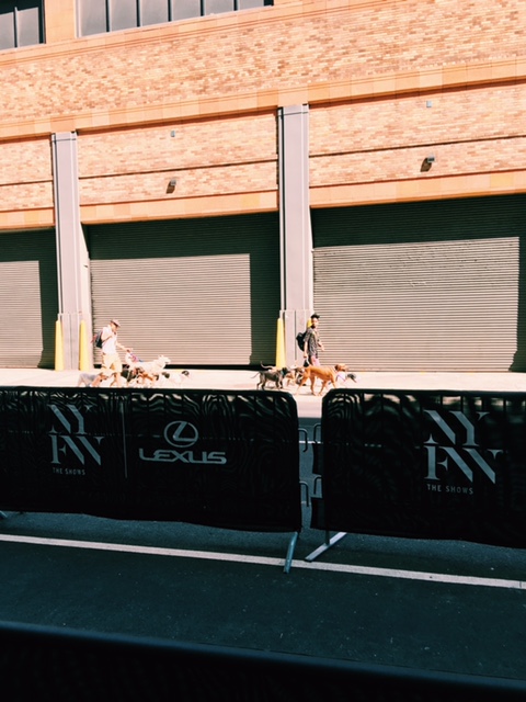 My NYFW Diary: Spring/Summer 2017