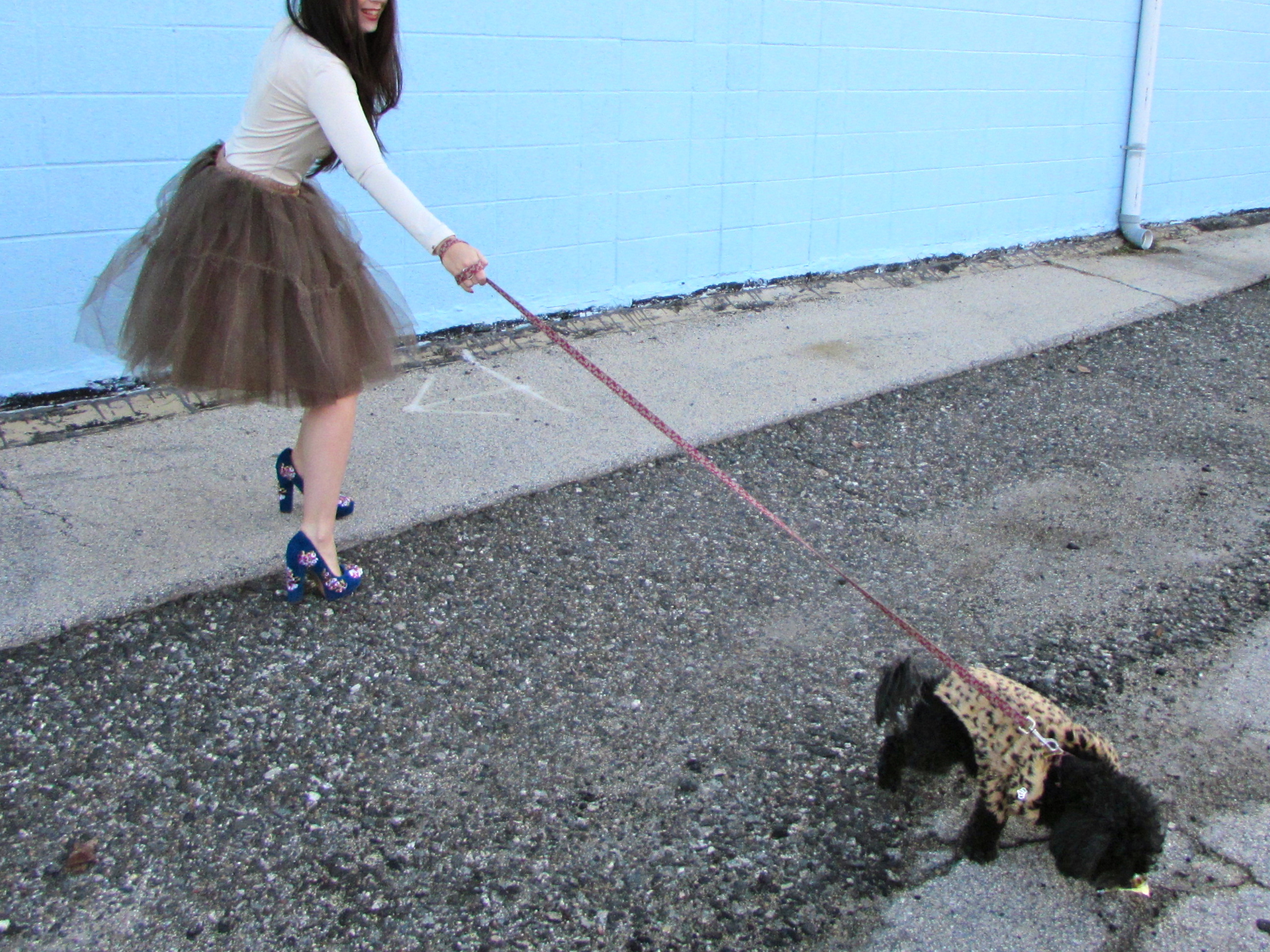 Dior + Project September