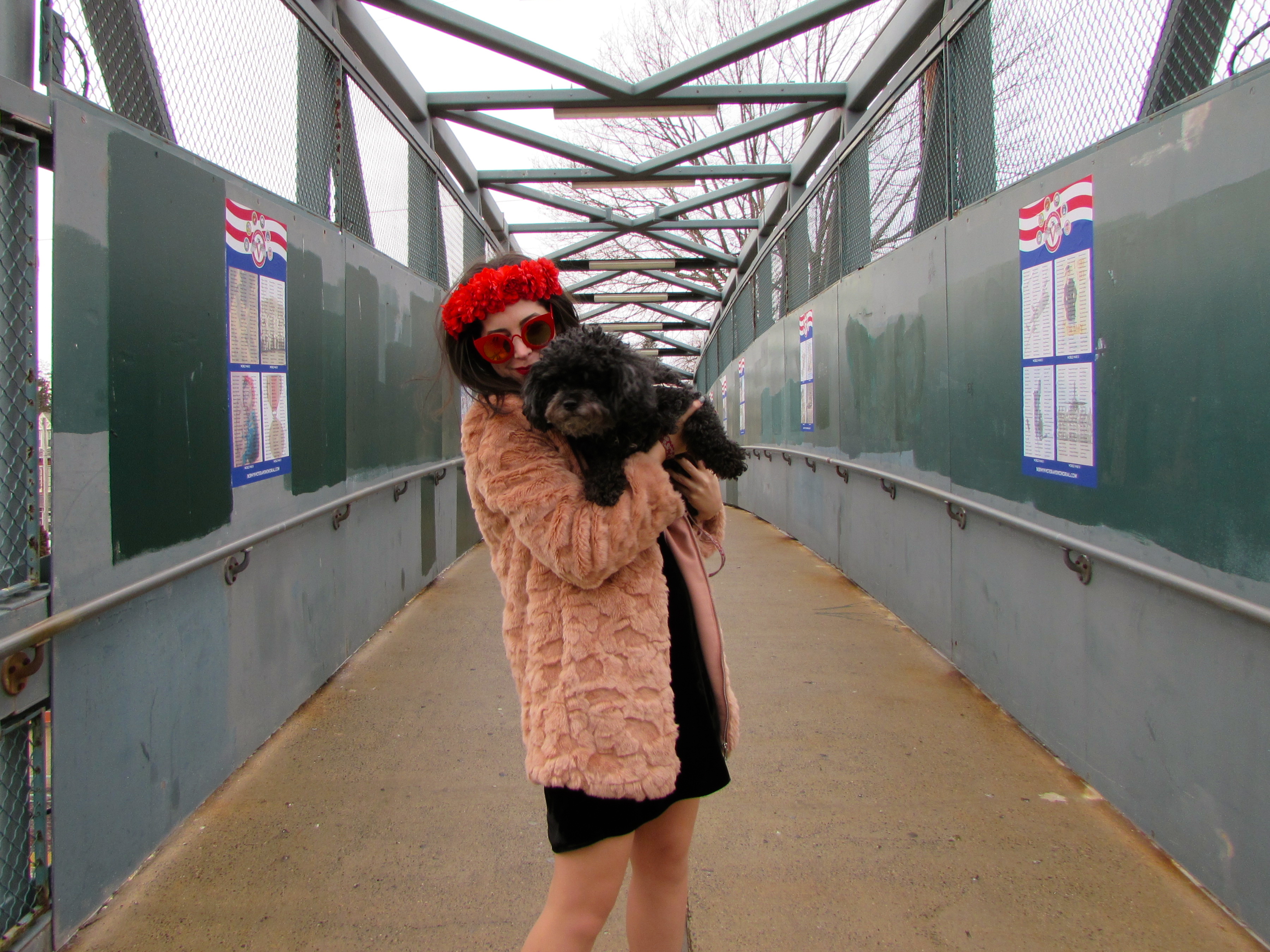 Galavanting for Galentine's