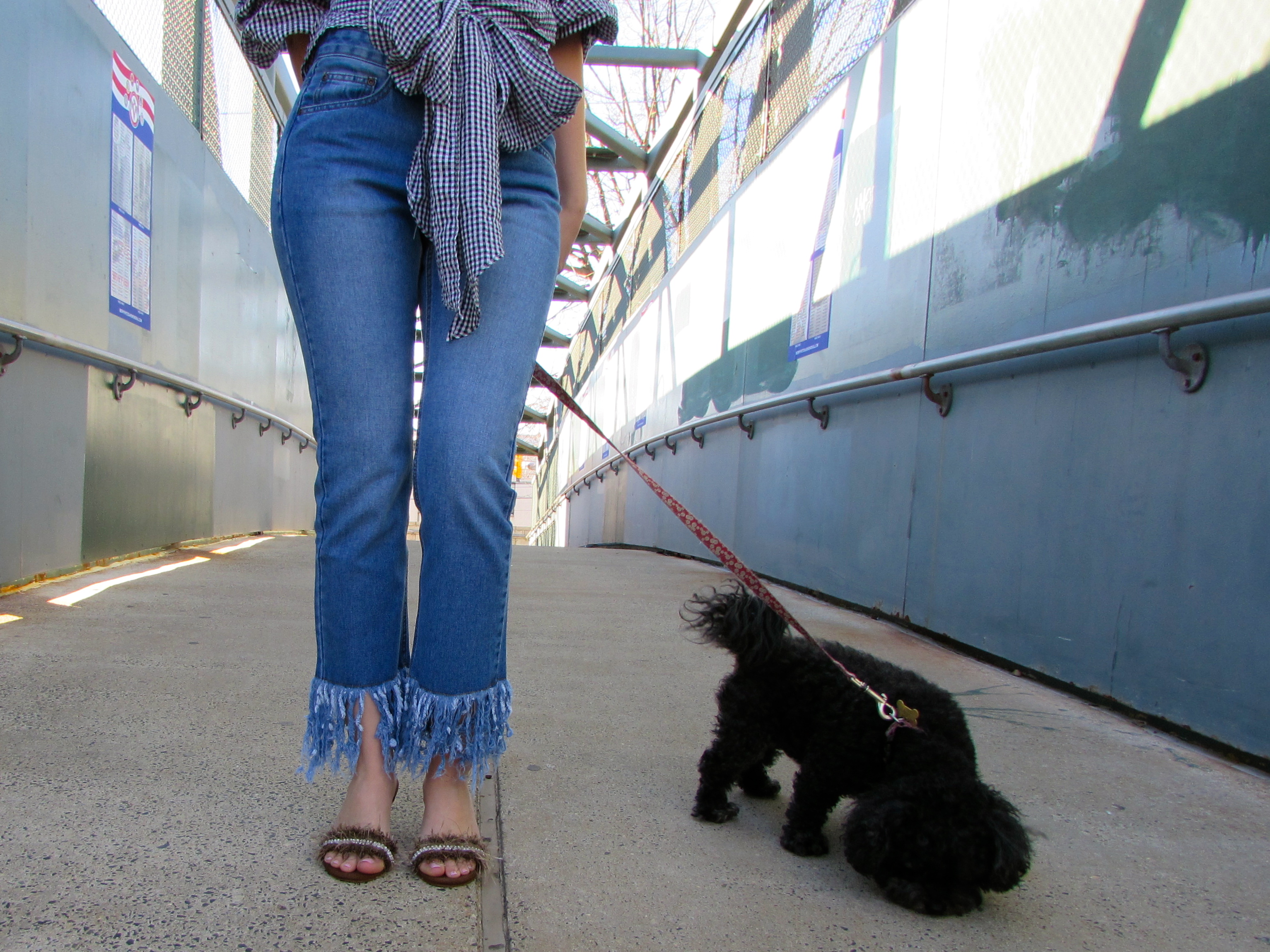 Going For The Gingham