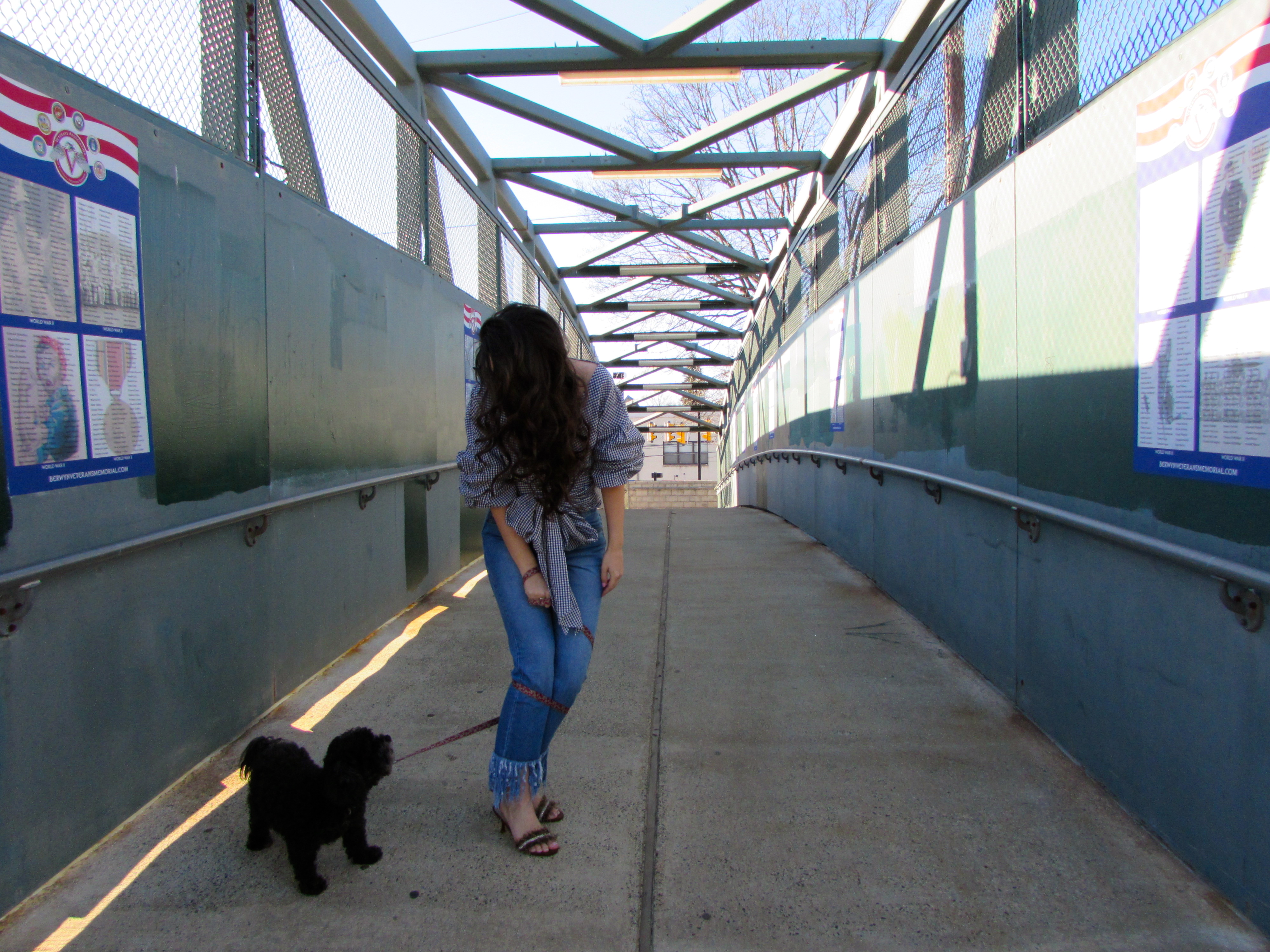 Going For The Gingham