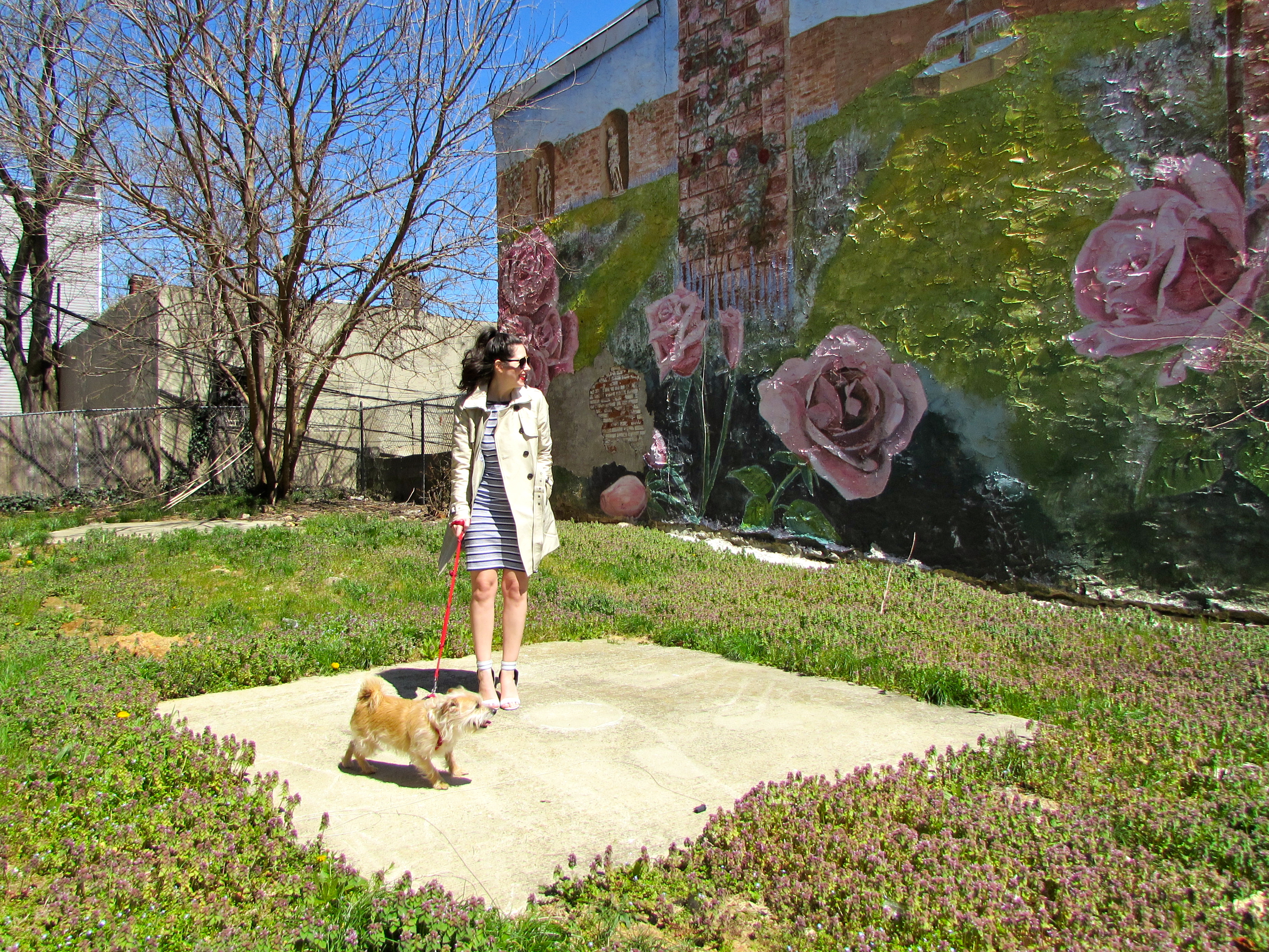 Superdry Spring 2017 Lookbook