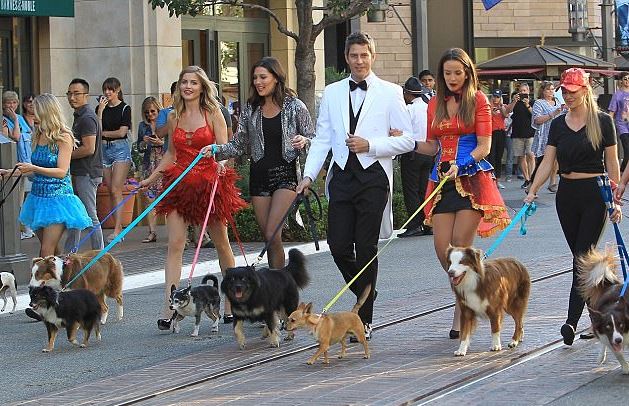 The Bachelor: Arie Luyendyk Episode 3 Recap