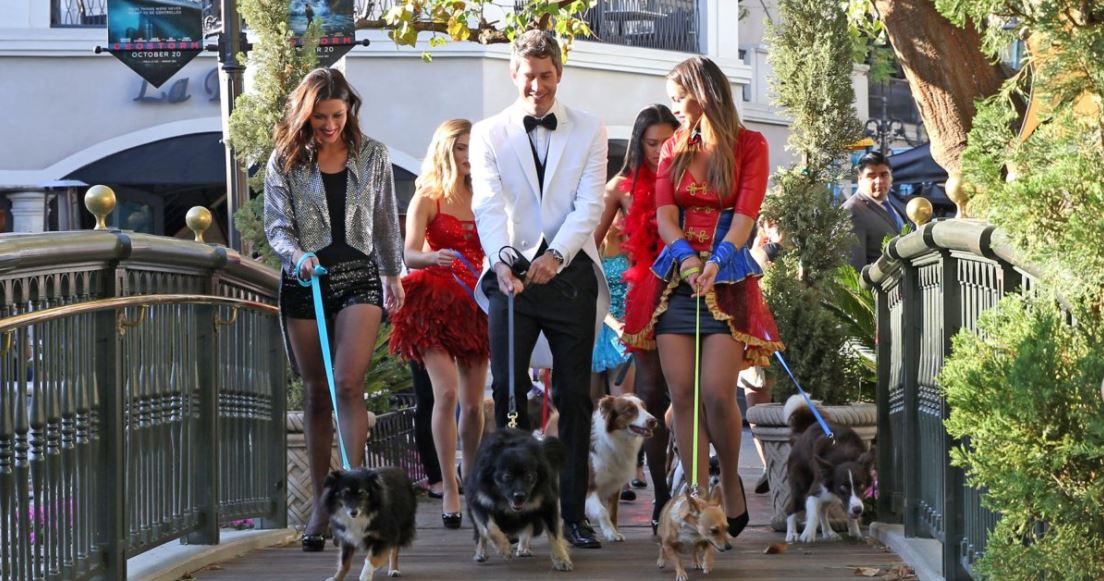 The Bachelor: Arie Luyendyk Episode 3 Recap